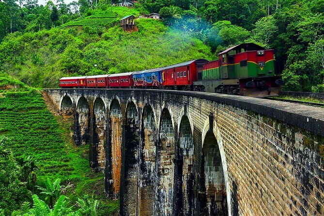 Round tour in Sri Lanka 11daysby Aaliya Tours-Hotels with H/B - Key highlights to look forward to