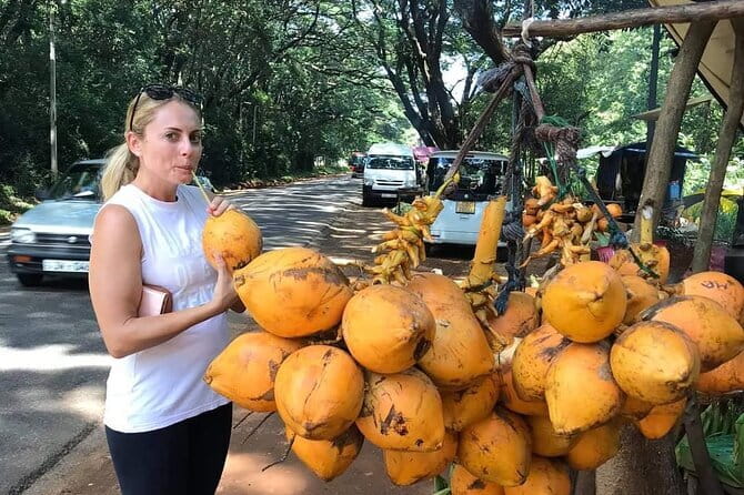Round tour in Sri Lanka 11daysby Aaliya Tours-Hotels with H/B - Price and logistics: what $1,200 gets you (and what it does not)