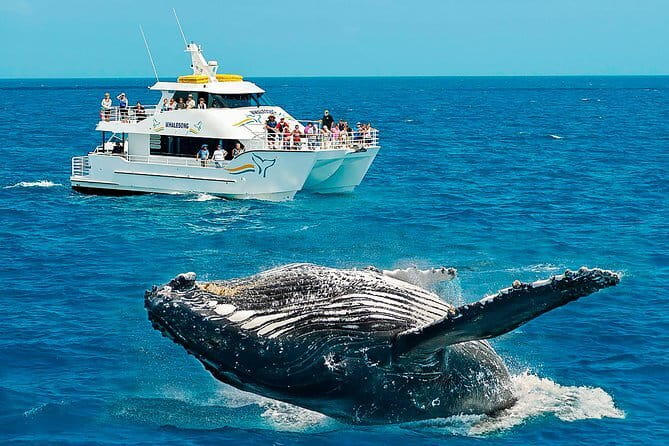 Round tour in Sri Lanka 11daysby Aaliya Tours-Hotels with H/B - Dambulla Cave Temple and Sigiriya Lions Rock: the two stair days