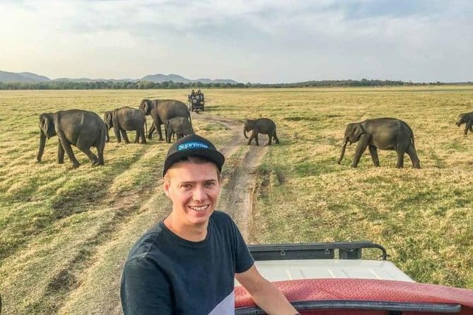 Safari Adventure in Minneriya national Park Sri Lanka - Should you book this Minneriya safari?