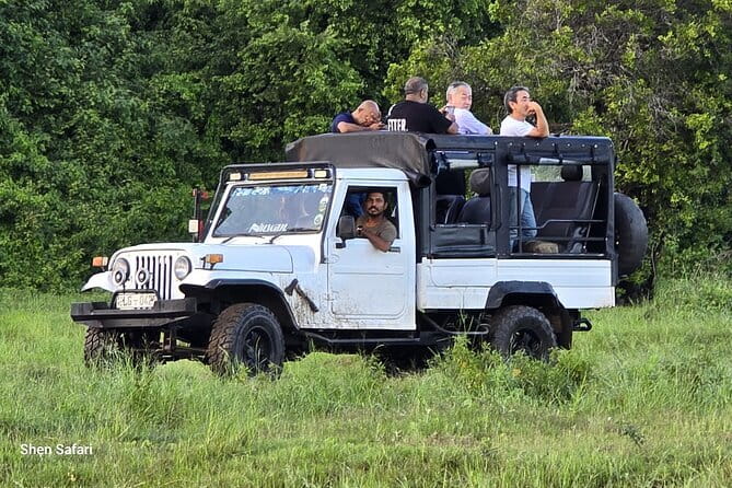 Safari Adventure in Minneriya national Park Sri Lanka - Minneriya’s elephant draw, and how the guide changes the experience