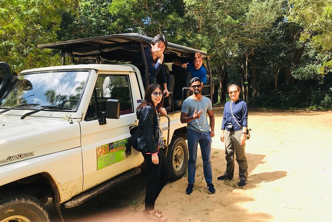 Safari at Wilpattu National Park from Negombo (All inclusive day tour) - Birdwatching Bonus: Lesser Adjutants to Crested Hawk Eagles