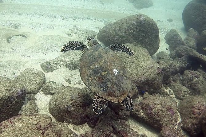 Scuba Diving at Unawatuna - What is included, and why it adds real value