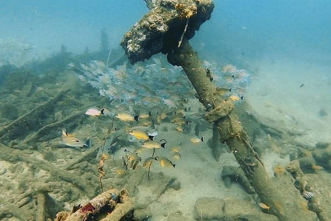 Scuba Diving at Unawatuna - Price and timing: why $70 for a 4-hour PADI-led session can make sense