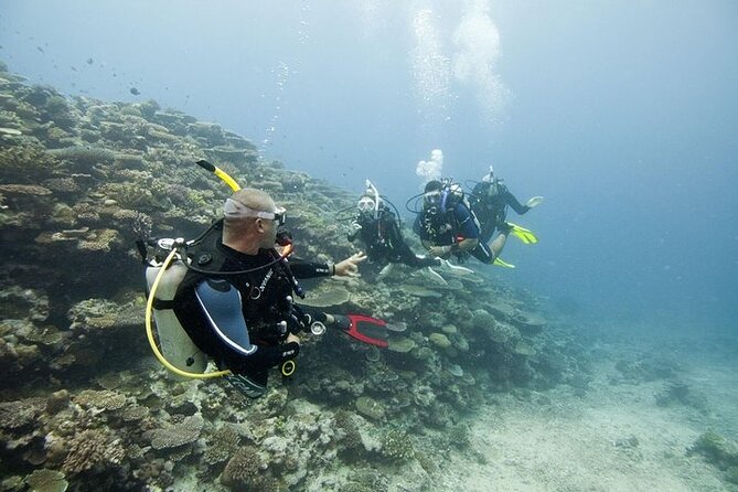 Scuba Diving For Beginners - Who Should Book This Beginner Program in Sri Lanka, and Who Should Wait