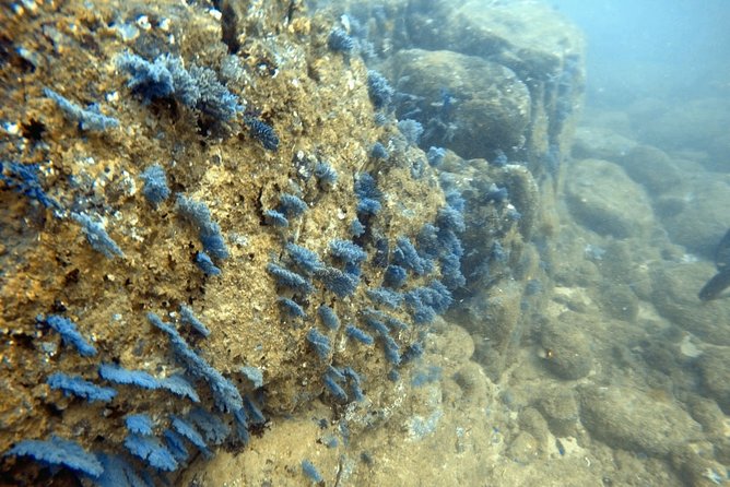 Scuba Diving in Mirissa - From Mirissa to the Boat: What the 3 Hours Look Like