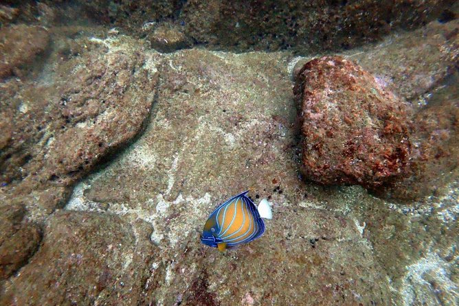 Scuba Diving in Unawatuna - Unawatuna start point: Weliwatta House and a two-hour plan