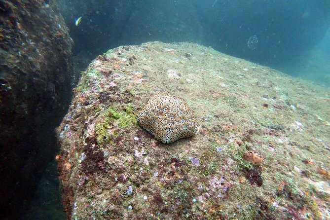 Scuba Diving in Unawatuna - How the session typically unfolds at Unawatuna Beach