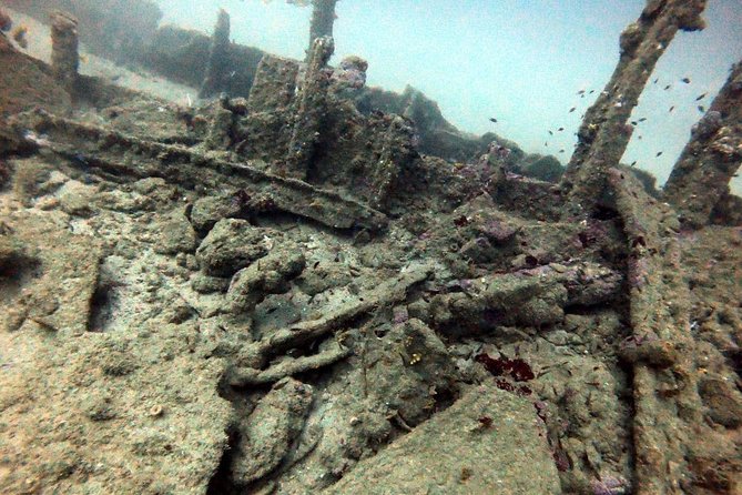 Scuba Diving in Unawatuna - The small-group advantage: why max 5 people matters underwater