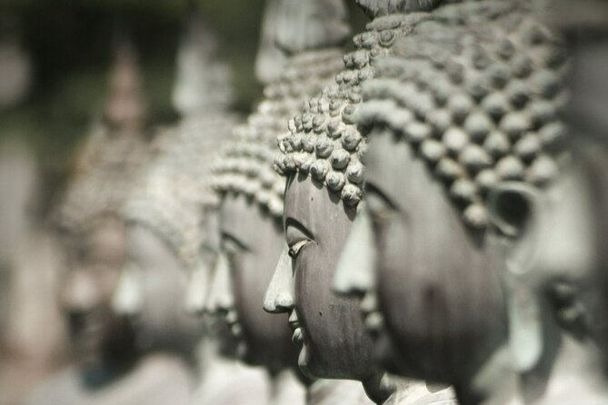 Shore Excursion Colombo City tour - Viharamahadevi Park and Pettah: the local daily life portion