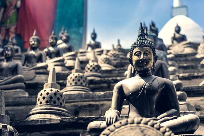 Shore Excursion Colombo City Tour Highlights - Key Highlights to Know Before You Go