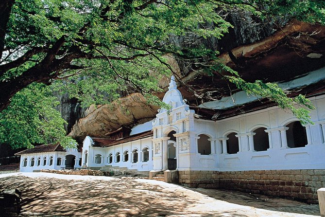 Sigiriya and Dambulla from Colombo - Who this tour fits best (and who should think twice)