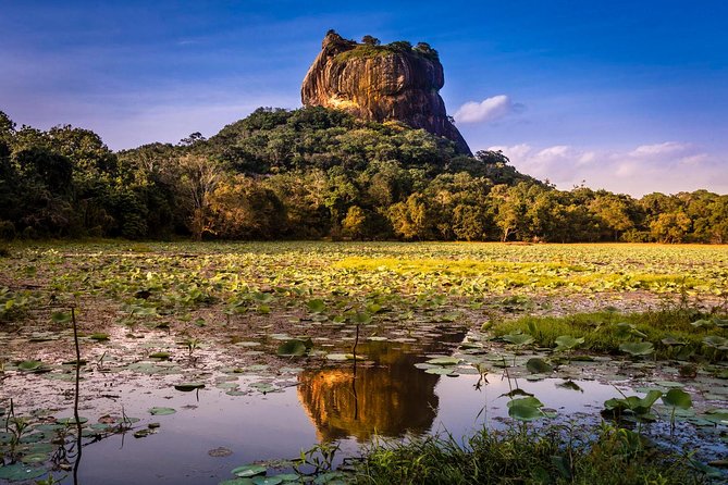Sigiriya and Dambulla from Negombo - Sigiriya Rock Fortress: Lion Legends, King Kasyapa, and the Stairs
