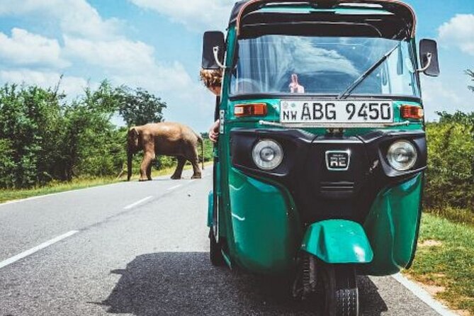 Sigiriya and Dambulla Private Day Tour by Tuk-Tuk or Car - How the 4 to 6 hour plan keeps Sigiriya realistic