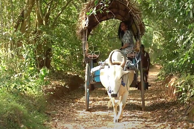 Sigiriya and Dambulla Private Day Tour by Tuk-Tuk or Car - Package choice: what changes between Standard and All-inclusive