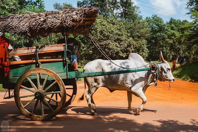 Sigiriya and Dambulla Private Full-Day Guided Tour - Dambulla Golden Cave Temple: cave art, Buddha scenes, and 5 caves to explore