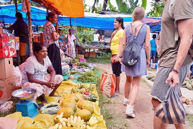 Sigiriya and Dambulla Private Full-Day Guided Tour - Price and value at $120 per person, plus what you must budget for