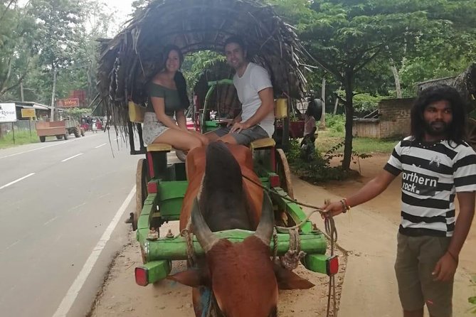 Sigiriya city tour from Negombo & Colombo with traditional Lunch. - How the private format works, and what to expect from the guide