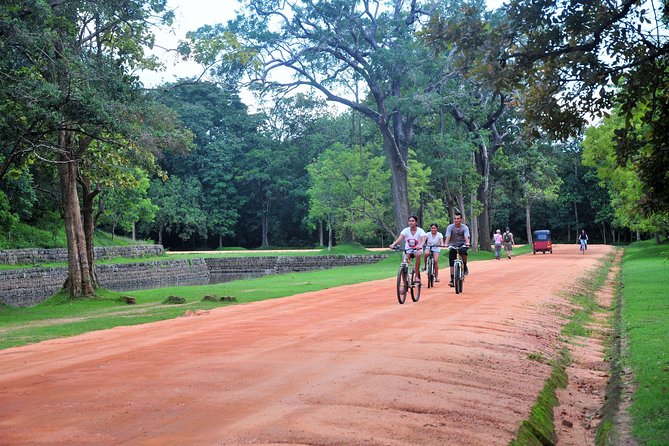 Sigiriya Cycle Tour: Explore Village Life in Sigiriya & Enjoy a Village Lunch - Paddy Fields, Farms, and Walking Paths: What You’ll See