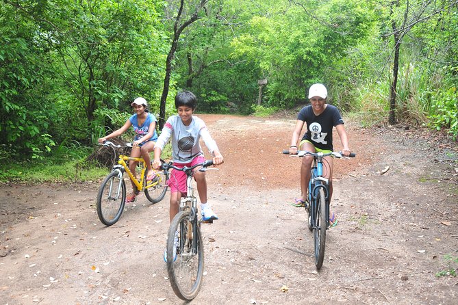 Sigiriya Cycle Tour: Explore Village Life in Sigiriya & Enjoy a Village Lunch - Inside a Village Home, Then a Real Homemade Lunch