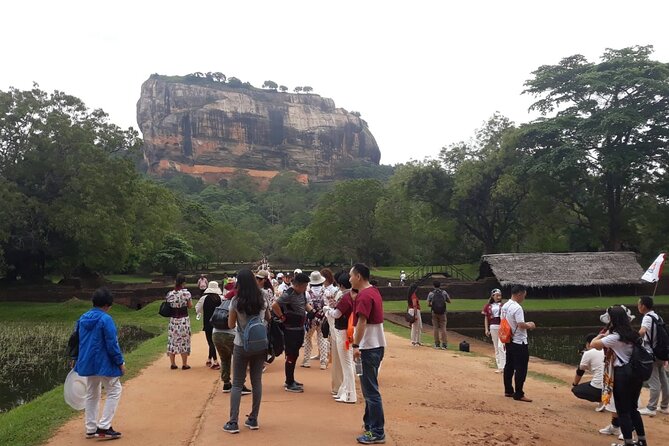 Sigiriya, Dambulla and Minneriya National Park Private Tour In - Price and What You Still Need to Pay