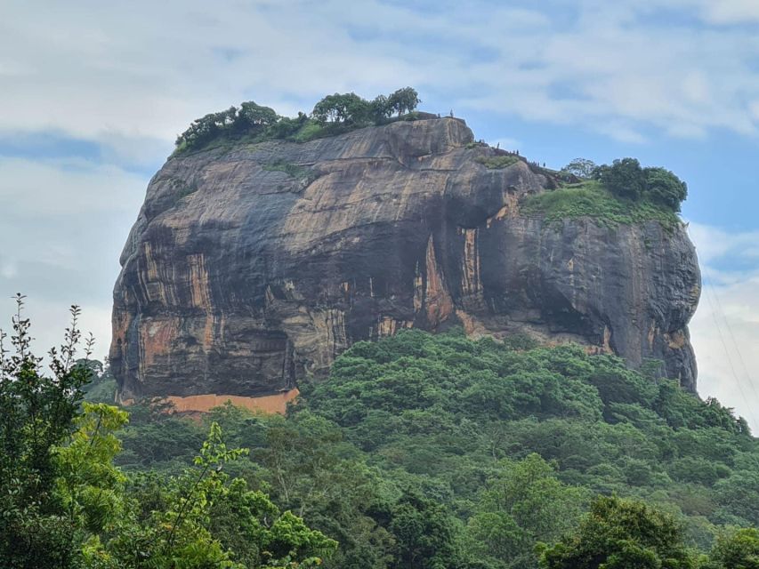 Sigiriya, Dambulla, and Village Safari Day Tour from Negombo - Dambulla Cave Temple and Golden Temple: Art You Can See Up Close