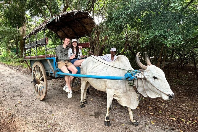 Sigiriya & Dambulla City Tour - How to make your day smoother (and avoid common snags)