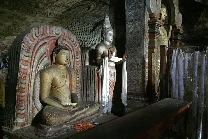 Sigiriya & Dambulla Day Tour - Price and logistics: what you’re really paying for