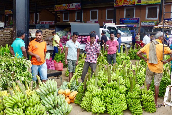 Sigiriya Dambulla Day trip from Kalutara Bentota Wadduwa Beruwala - Getting from Kalutara and the beach strip without losing the day