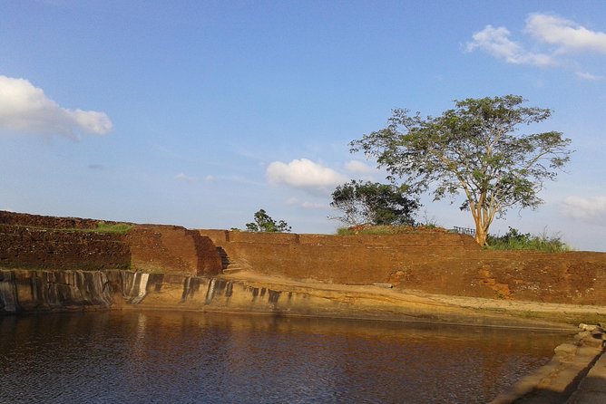 Sigiriya Day Tour - Dambulla Cave Temple - Kandy to Sigiriya and Dambulla, a day that stays organized