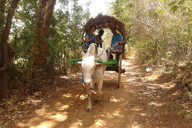 Sigiriya Day Tour - Dambulla Cave Temple - Dambulla cave temple, why the setting makes the whole place feel real