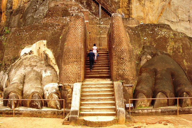 Sigiriya Day Tour from Colombo or Negombo by Private Car / Van - Minneriya National Park: A Nature Reset on a Sight-Heavy Day
