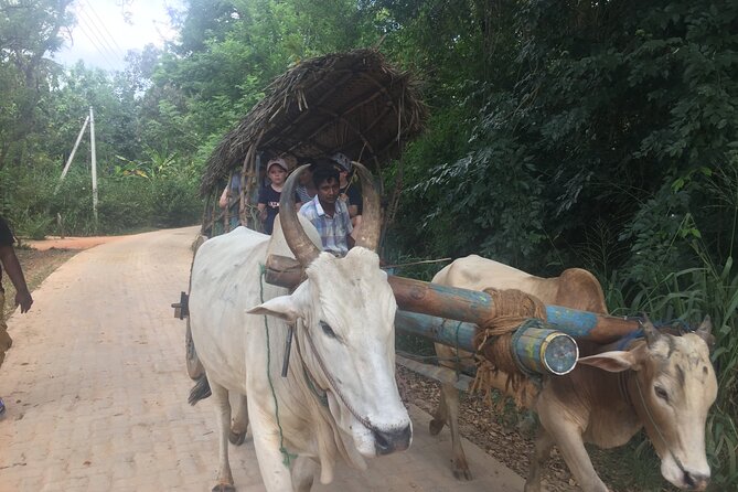 Sigiriya Day Trip with Experts - Optional Rural Village Experience and Traditional Lunch
