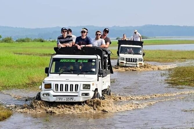Sigiriya Hike & Minneriya Safari Private Full Day Tour - Minneriya or Kaudulla Jeep Safari: Your Elephant-Spotting Window