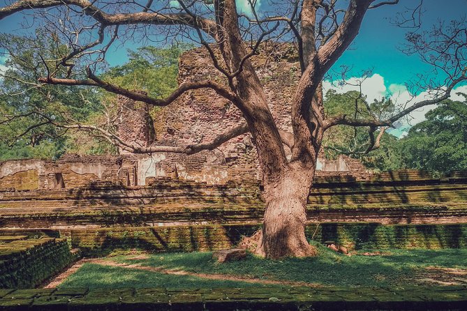Sigiriya, Polonnaruwa & Dambulla "Trilogy" Day Tour from Colombo - Who should book this trilogy day tour, and who might skip it