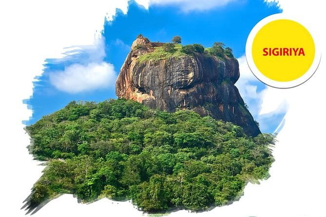 Sigiriya Rock and Dambulla Cave Temple all inclusive Private Day Trip - Dambulla Cave Temple: five caves, statues, and ceiling murals