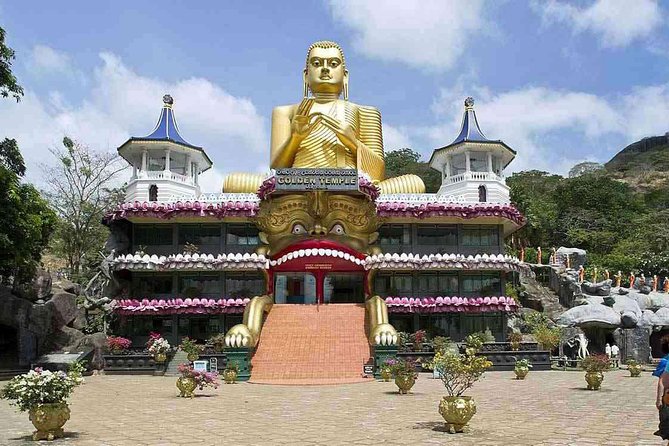 Sigiriya Rock and Dambulla Cave Temple Day Tour - Guide Quality and Private Tour Expectations