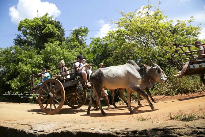 Sigiriya Rock and Village Tour from Colombo - Hiriwadunna village lunch: taste, and the food-prep moment