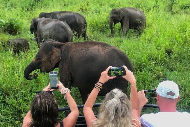 Sigiriya Rock Climb, Village Tour+Cooking Class & Elephant Safari - Key highlights to know before you go