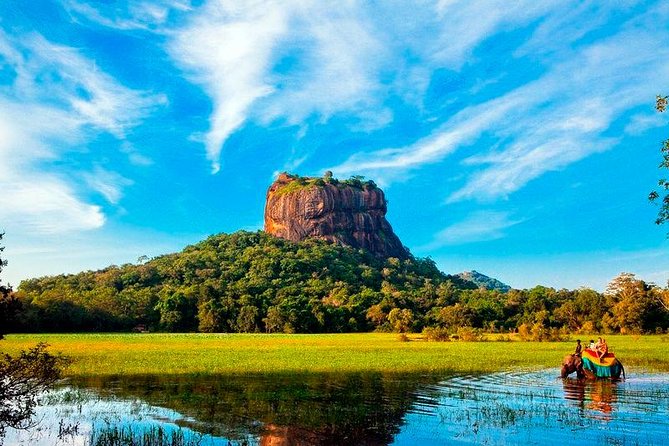 Sigiriya Rock & Dambulla Cave Temple Private Guided Day Trip - Stop 5: Ranweli Spice Garden, a Full Hour That Feels Like a Break