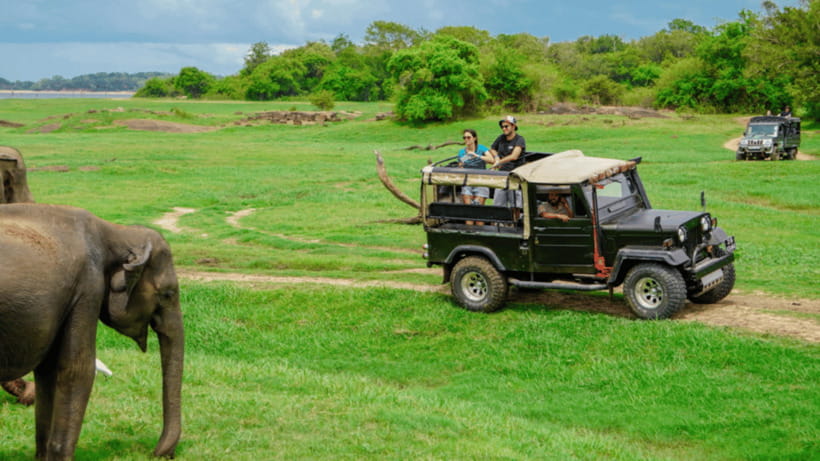 Sigiriya Rock Hike & Minneriya Elephant Safari – Day Tour - Price and Logistics: What the $57 Covers, and What You’ll Pay Extra