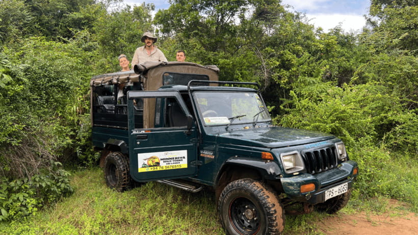 Sigiriya Rock Hike & Minneriya Elephant Safari – Day Tour - A 6-Hour Day Plan That Works, If You Start Prepared