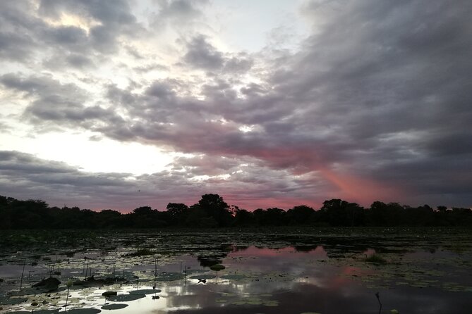 Sigiriya Sunrise/Sunset Guided Boat Ride - Meeting point near Dambulla: how to plan transport since pickup is not included