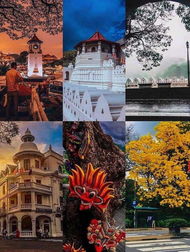 Sigiriya To Kandy Private Transfer: Visit Dambulla Temple - Herbal Spice Garden: What Cinnamon, Cloves, and Cardamom Feel Like