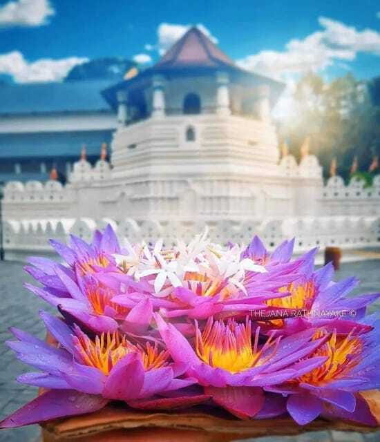 Sigiriya To Kandy Private Transfer: Visit Dambulla Temple - Who This Tour Fits Best