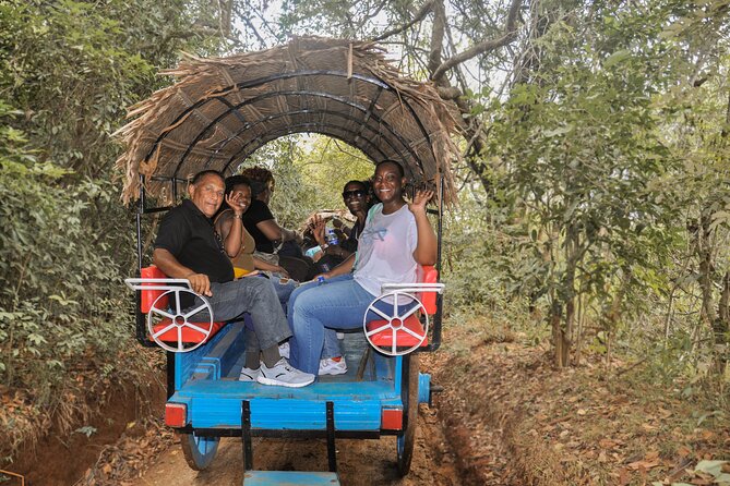 Sigiriya Village Tour and Lunch - Leisure time after lunch, then back to your hotel