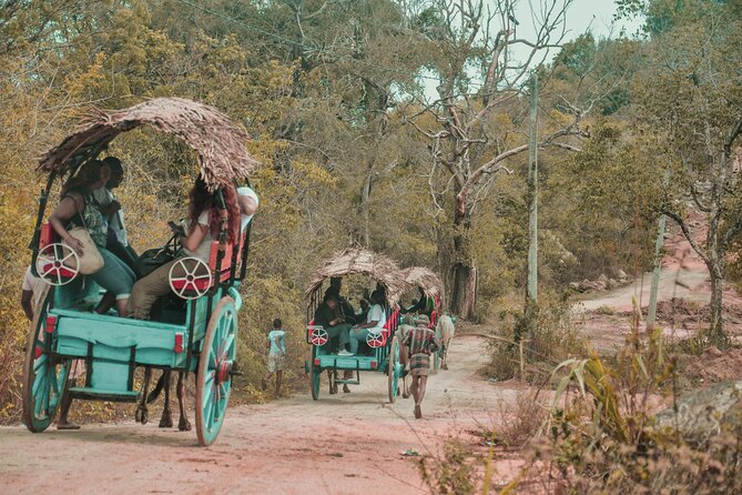 Sigiriya Village Tour and Lunch - Price and logistics: why $25 can feel like a lot of value