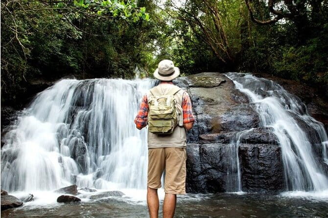 Sinharaja Rain Forest Day Tour from Mirissa, Galle, Bentota Area - Key highlights worth your attention