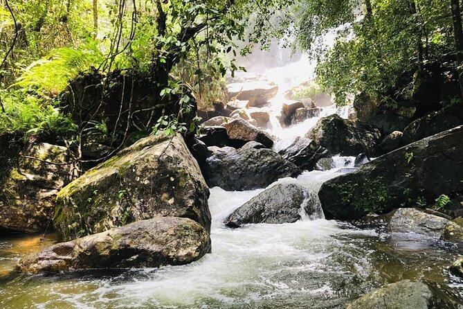 Sinharaja Rain Forest Guided Day Tour - Gin Ganga river walk: the border scenery that makes the day feel alive