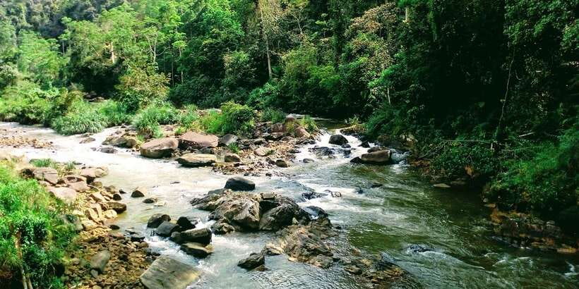 Sinharaja Rainforest Private & Customize Tour - Waterfall time, nature bath, and lunch inside the forest